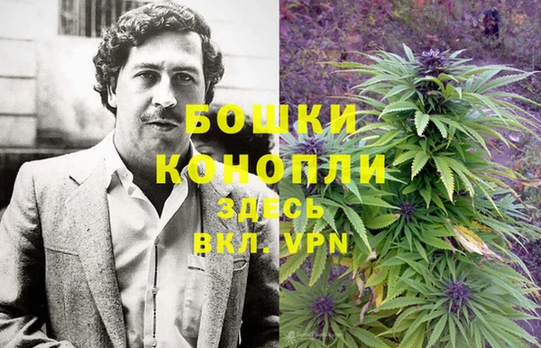 дживик Лихославль