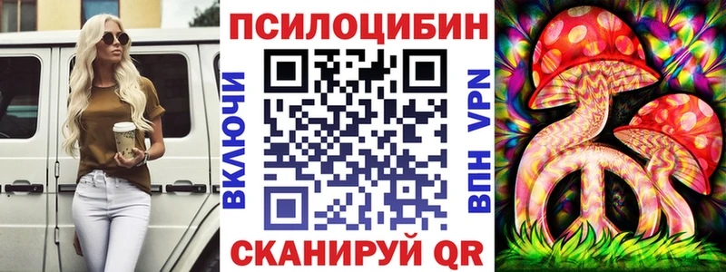наркотики  Братск  Галлюциногенные грибы Psilocybe 