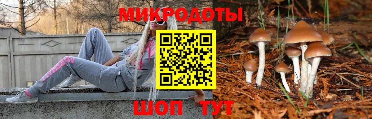 Галлюциногенные грибы MAGIC MUSHROOMS  Псилоцибиновые грибы мухоморы  Вход с VPN  купить наркоту  Братск 