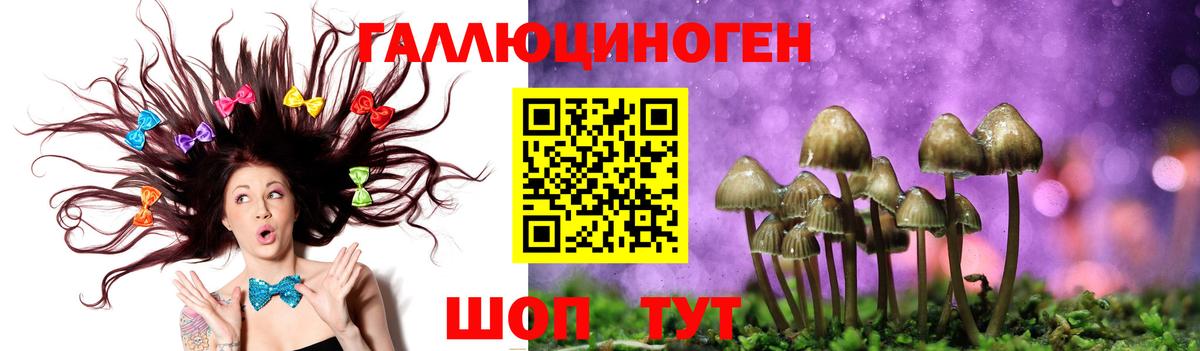 Псилоцибиновые грибы Magic Shrooms  Братск 